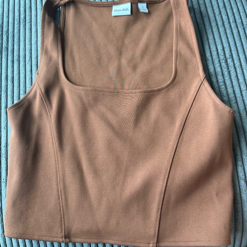 Aritzia Brown Sundeh Tank Top